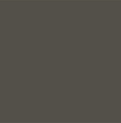 Paint — Ubran Bronze