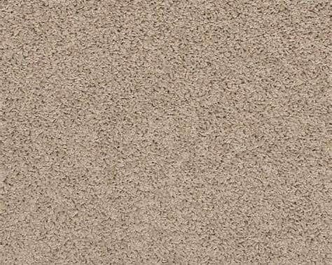Flooring & Tile — Luxury Carpet - Birdbath