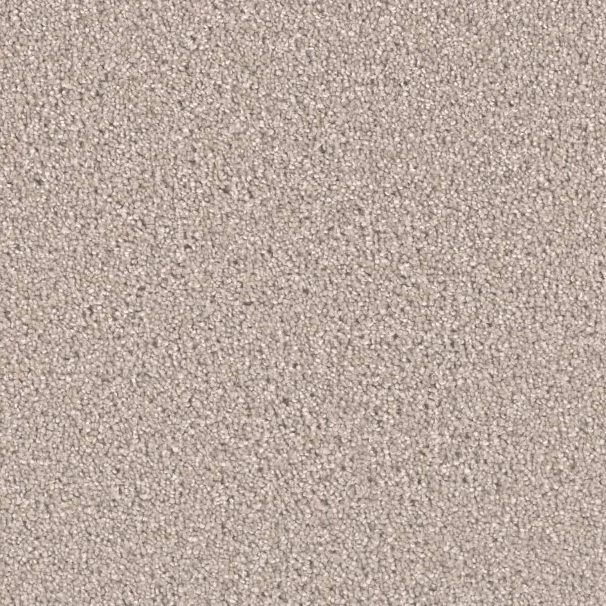 Flooring & Tile — Luxury Carpet - Clam Shell