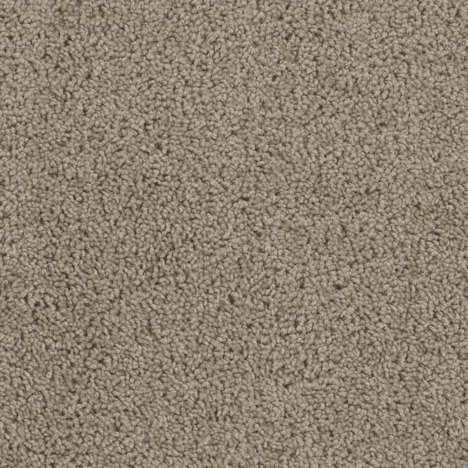 Flooring & Tile — Carpet - Sandstone